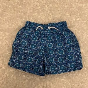 Toddler Boy Swim Trucks with Mesh